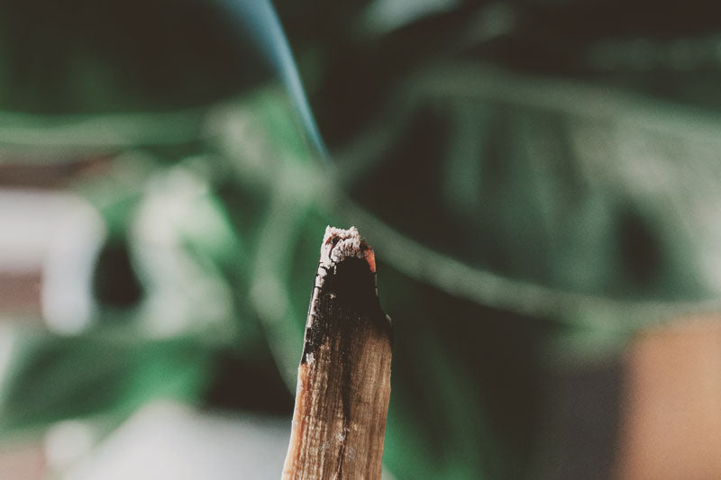 Tips on how to use Palo Santo